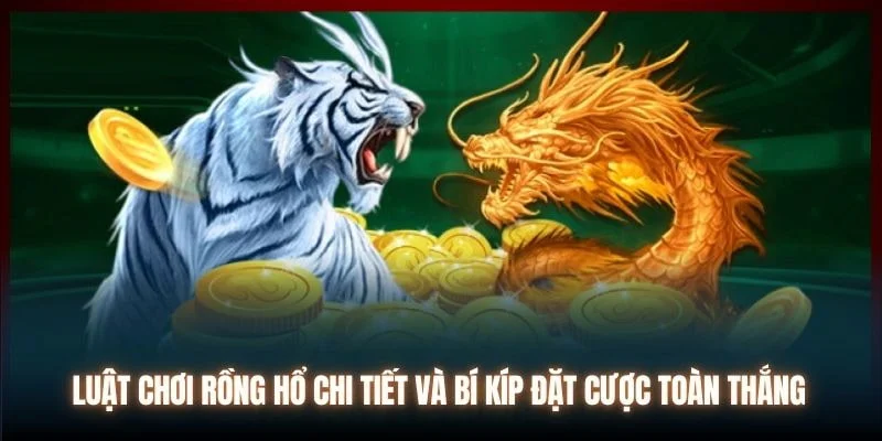 cach choi rong ho kham pha